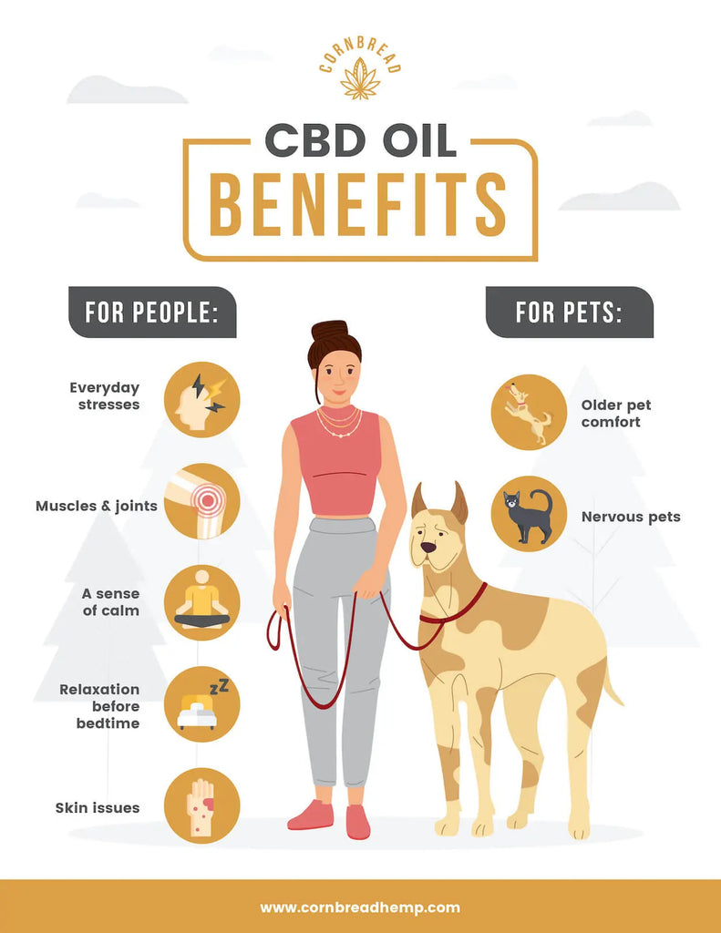 cbd benefits infographic
