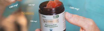 CBD Gummies Dosage Guide