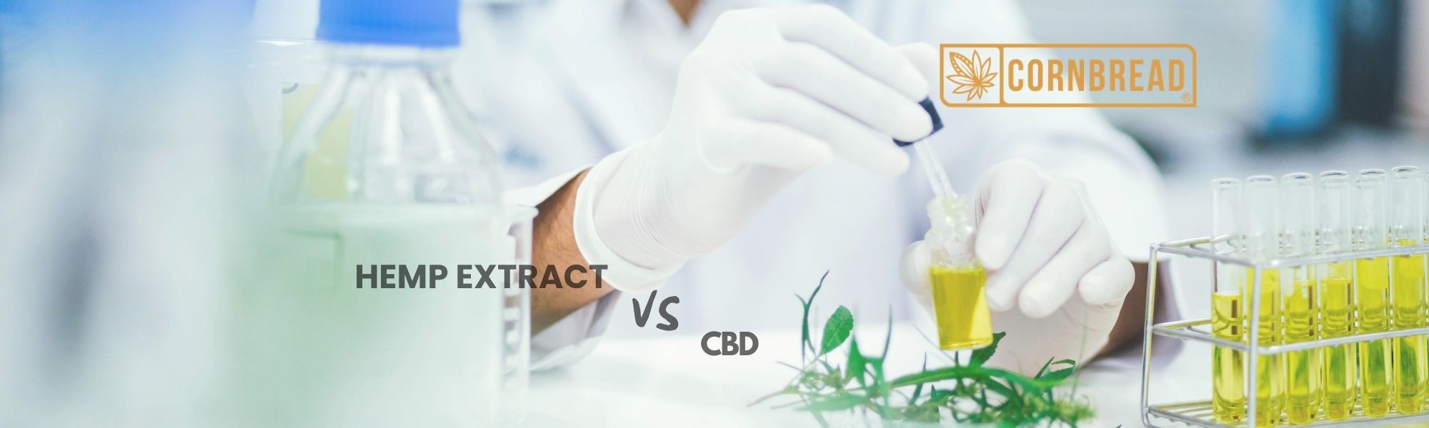Hemp Extract vs CBD