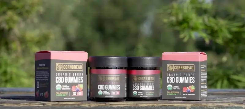 hemp gummies vs cbd gummies