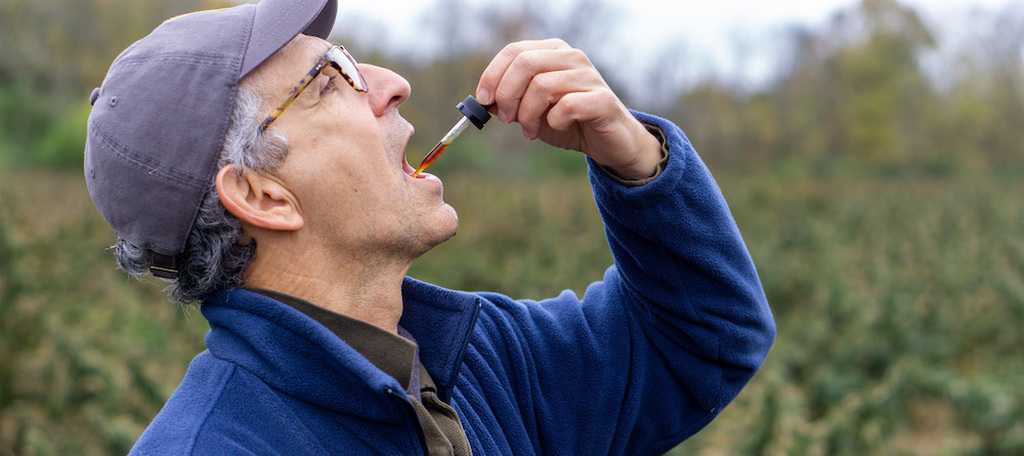 is under the tongue the best way to take cbd oil