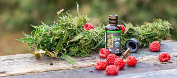 what are cbd gummies