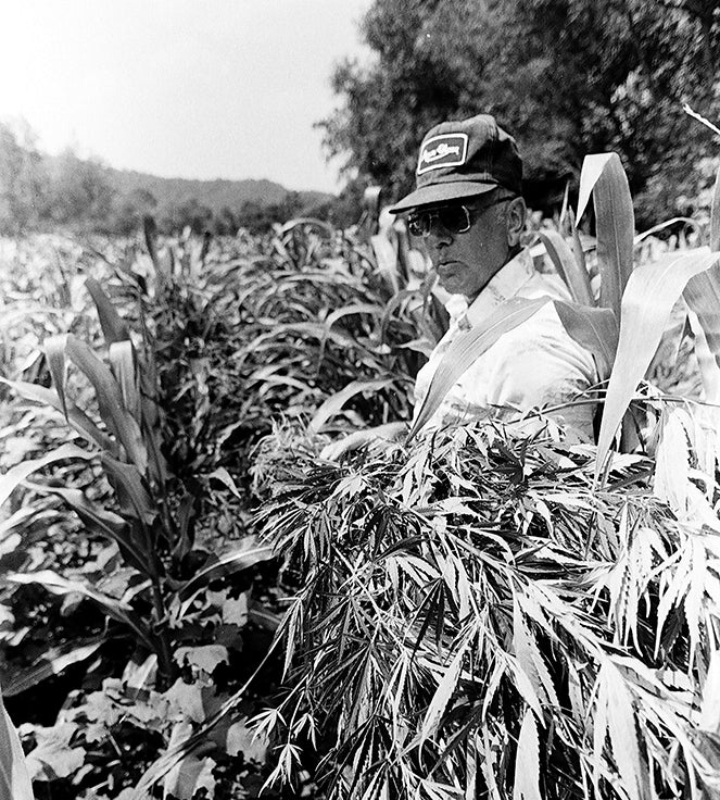 cornbread mafia farmers