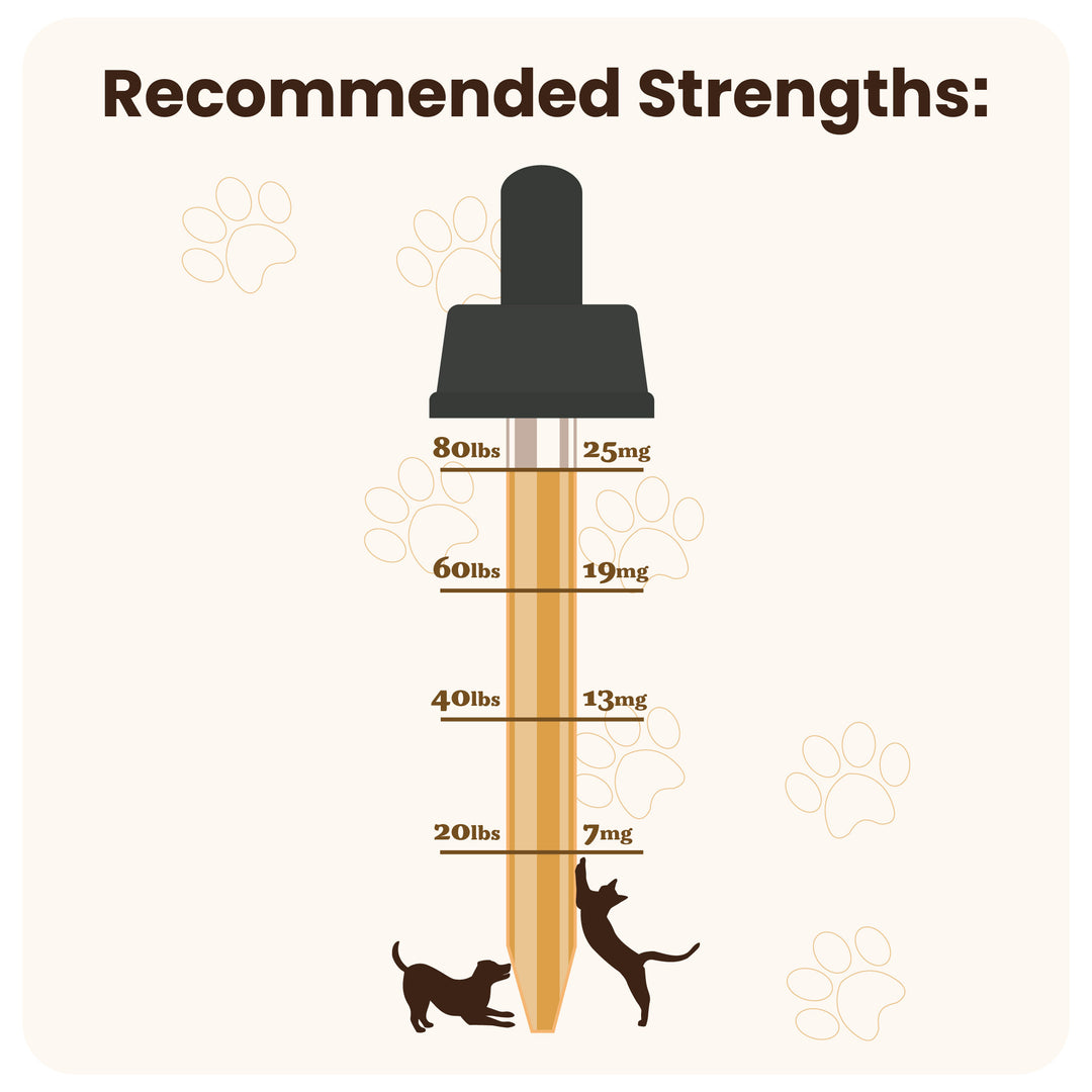 Pet dosing chart