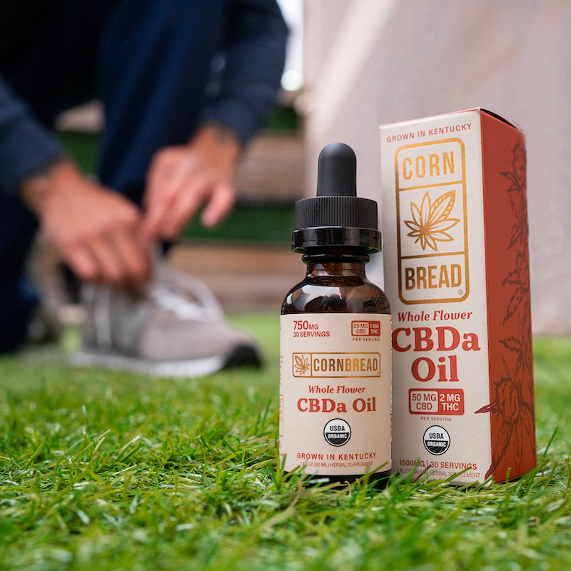 cbda tincture oil for chronic pain