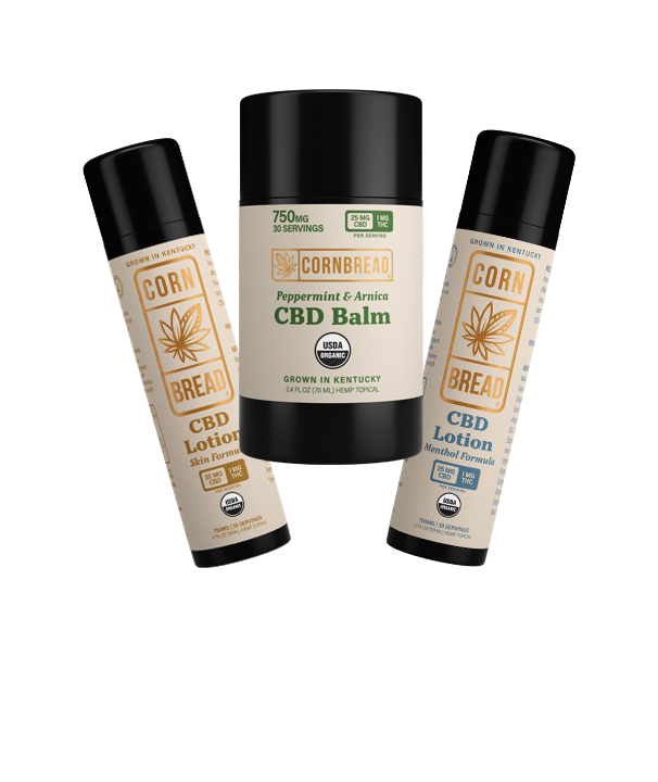 cannabis sativa cbd potency in high concentrations for body and sleep  