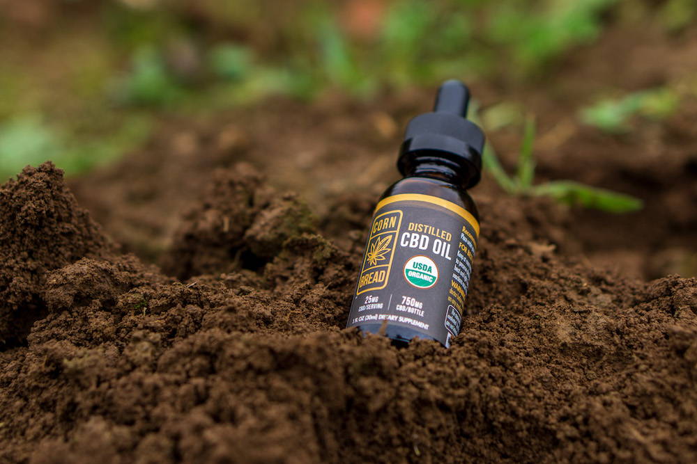 best place to buy cbd oil