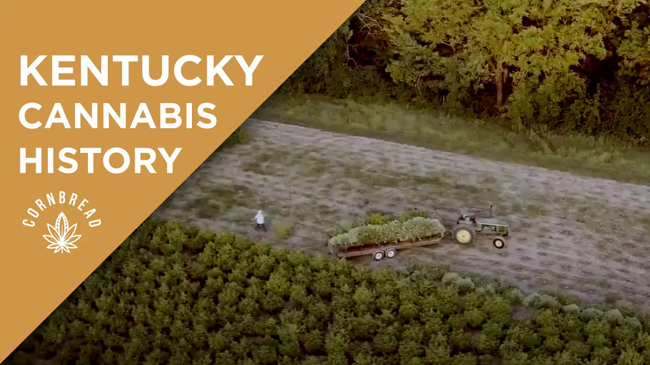 What Makes Kentucky CBD Companies Unique? Kentucky Cannabis History
