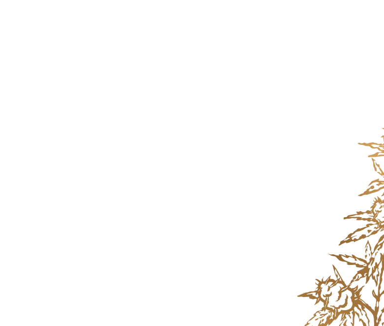 Collection banner image