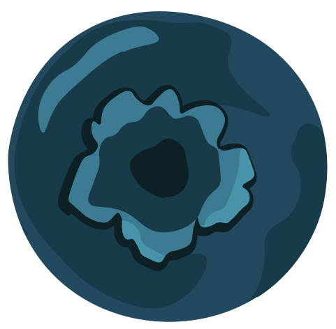 blueberry